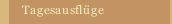 Tagesausflüge