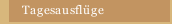 Tagesausflüge